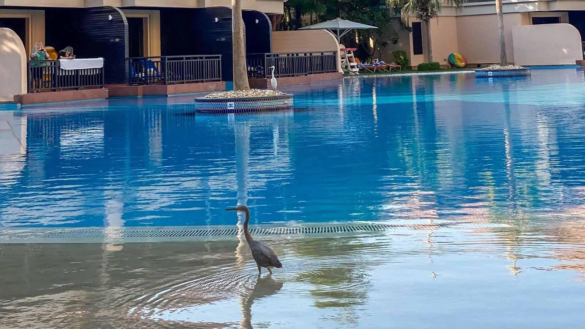 Picture-Perfect 2Br Apartment With Burj View Dubai 0*,